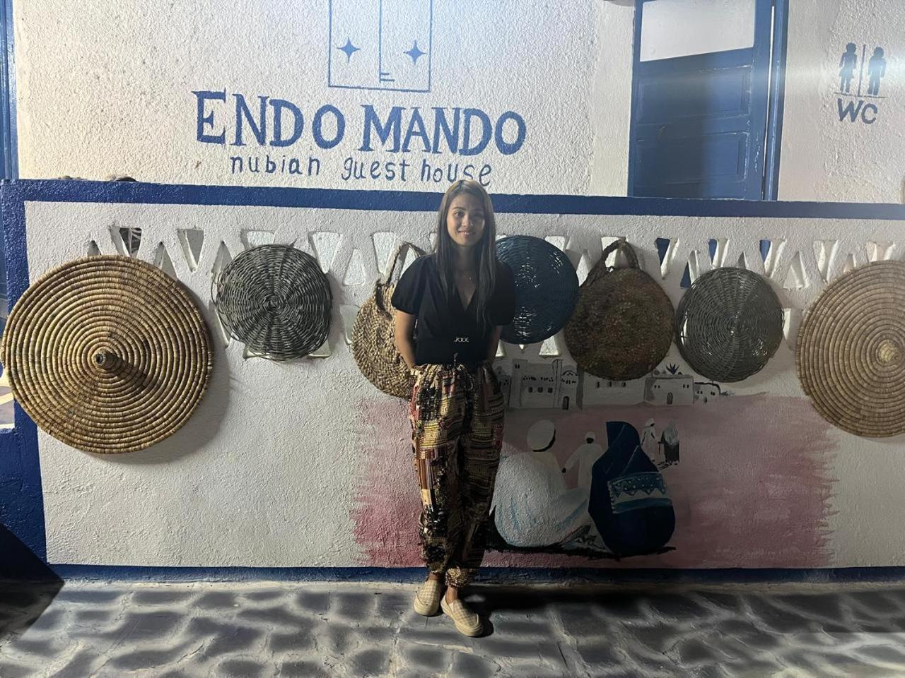 Endo Mando Hotel Aswan Bagian luar foto